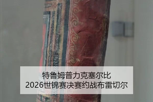 te-lu-mu-pu-li-ke-sai-er-bi-shi-jin-sai-jue-sai-yue-zhan-bu-lei-qie-er-2-941.jpg